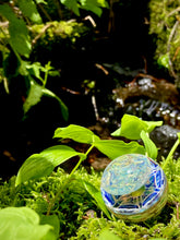 Load image into Gallery viewer, Lost in the Sips Saucer

